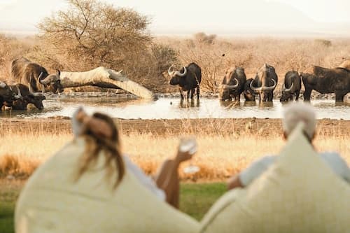 Last Word Madikwe