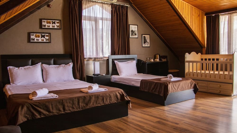 Hotel New Metekhi