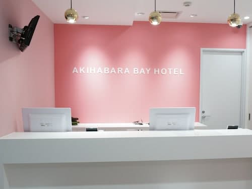 Akihabara BAY HOTEL - Caters to Women
