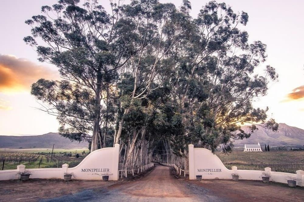 Montpellier De Tulbagh