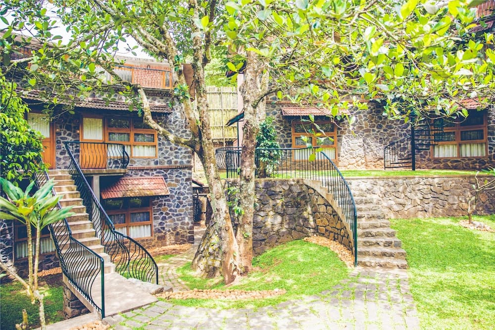 Wildernest