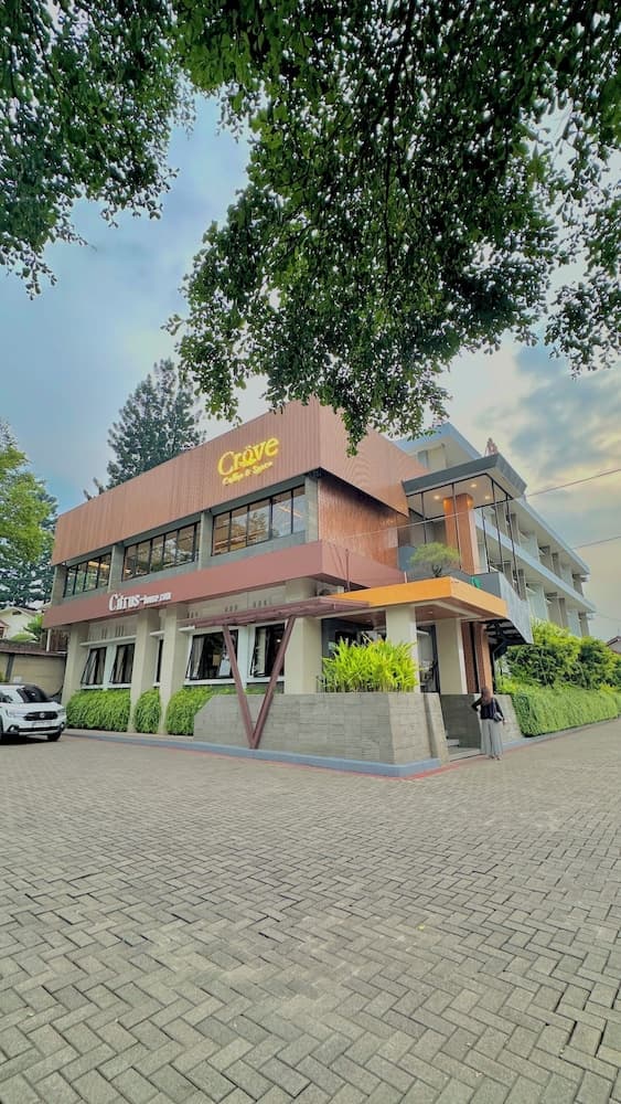 Citrus House Hotel