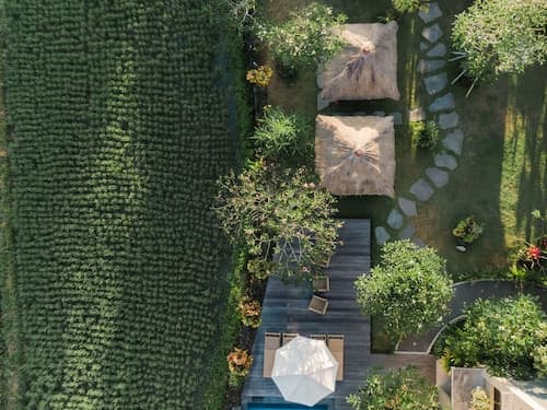 Byasa Ubud