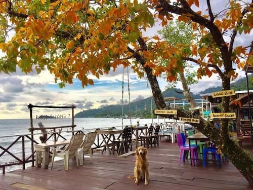 Kohchang 7 seaview bungalow