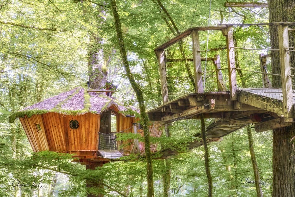 L'Arbre à Cabane