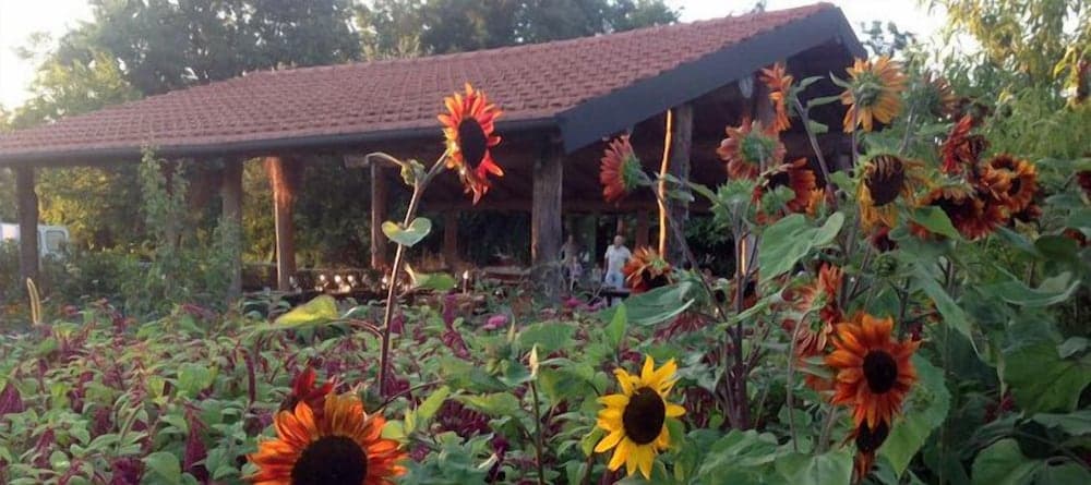 Agriturismo Cascina degli Ulivi
