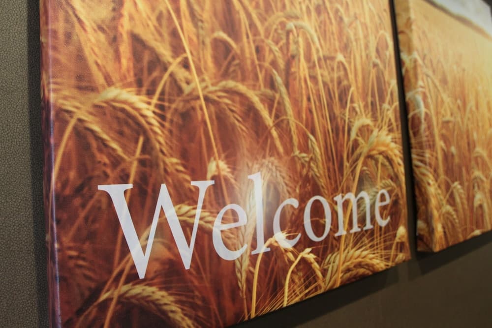 Giriş/çıkış büfesi