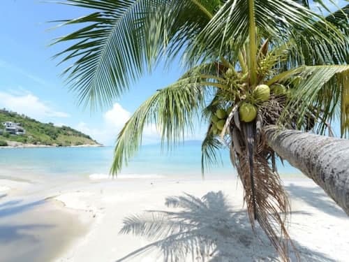 3 Bedroom Villa TG40 on beachfront resort SDV286-By Samui Dream Villas