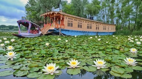 New Bul Bul Houseboat Dal Lake