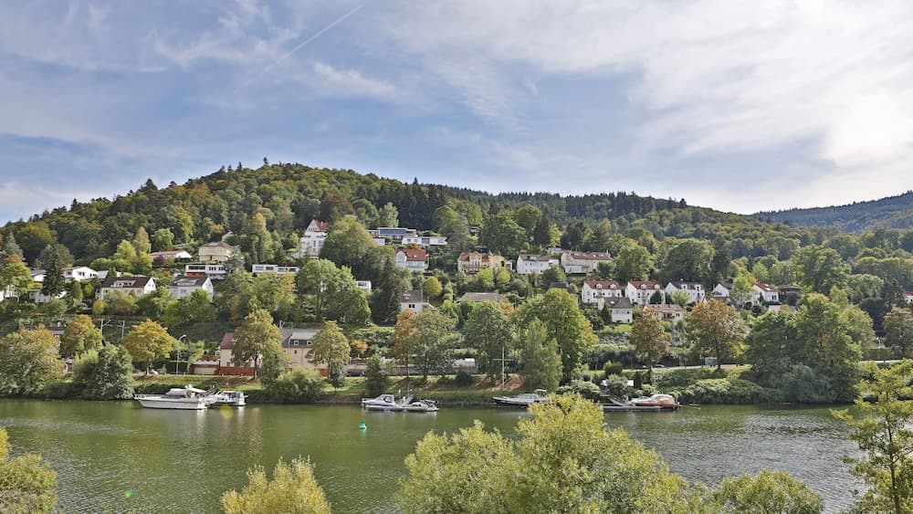 Hotel Neckarlux