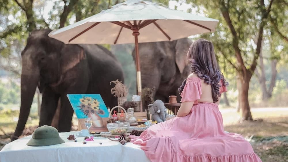 Sappraiwan Elephant Resort & Sanctuary