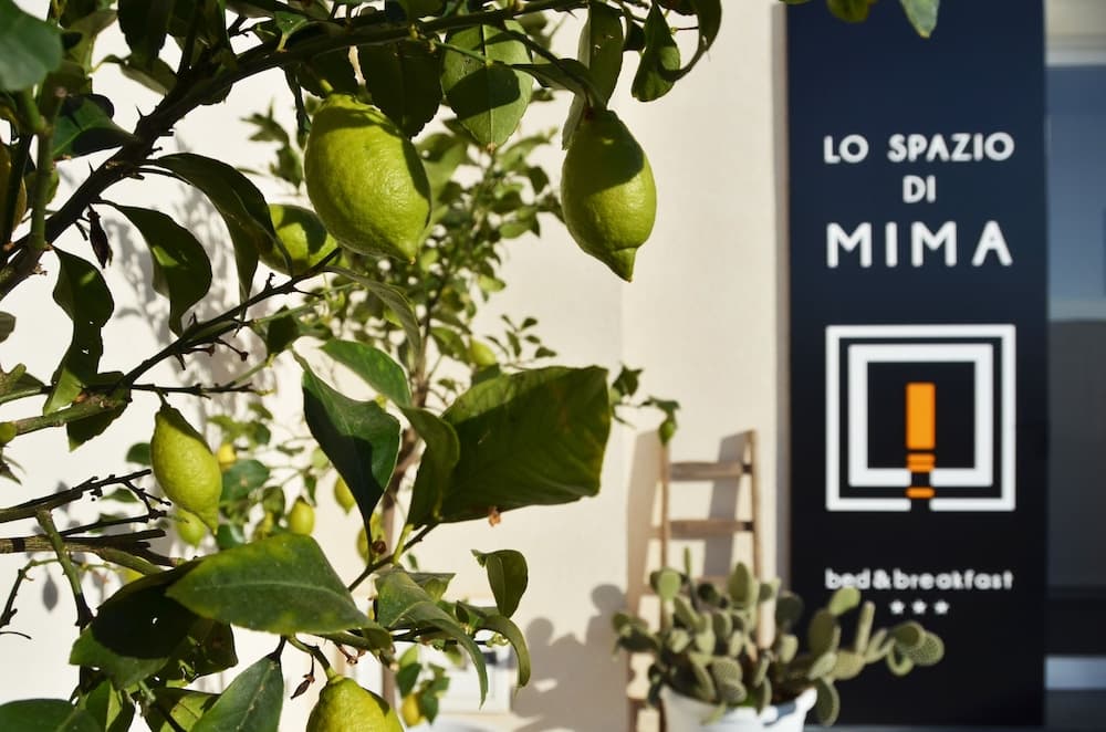 Lo spazio di Mima