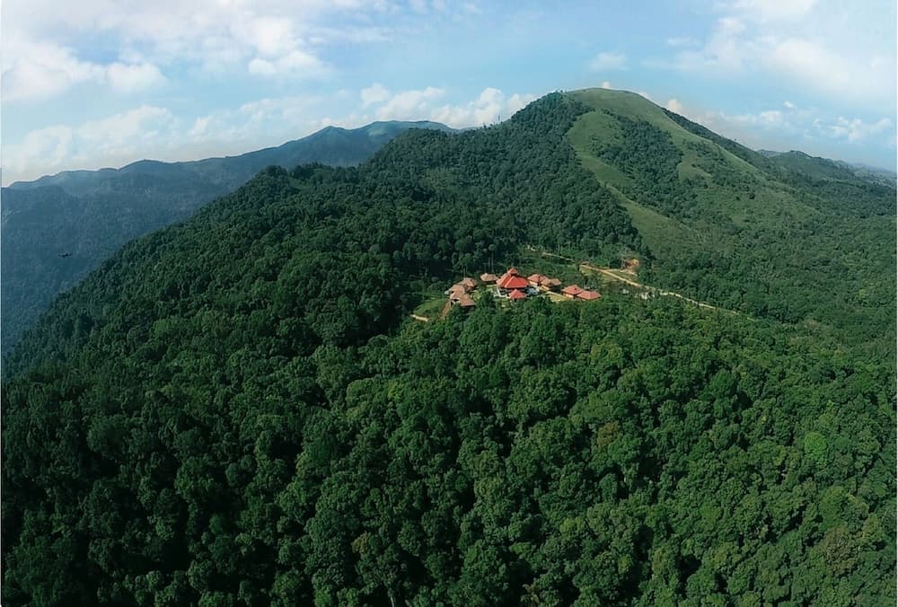 Wild Planet Resort