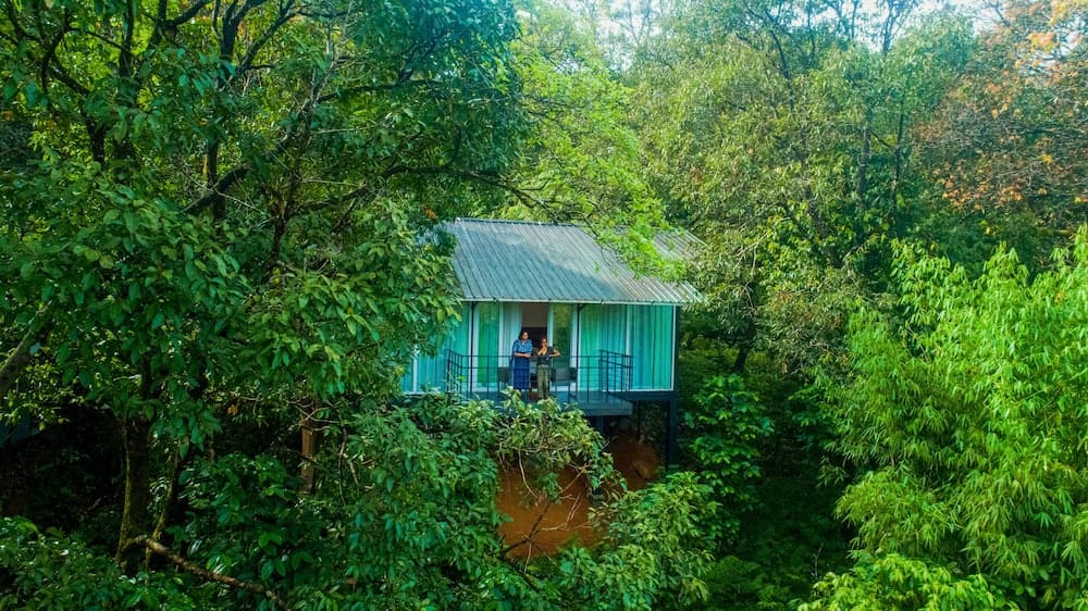 Wayanad Wild Rainforest lodge by CGH Earth