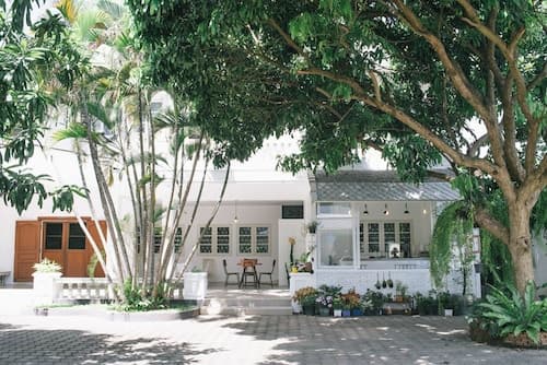 Double Tree House