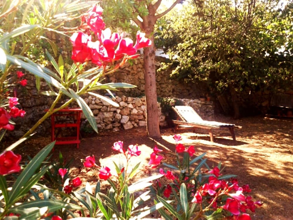 B&B Masseria delle rose 1760