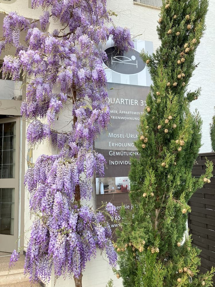 Quartier31
