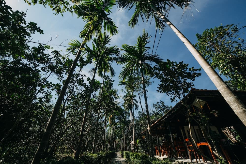 Thuy Bieu Homestay
