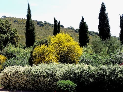 Agriturismo Fattoria Il Casalone