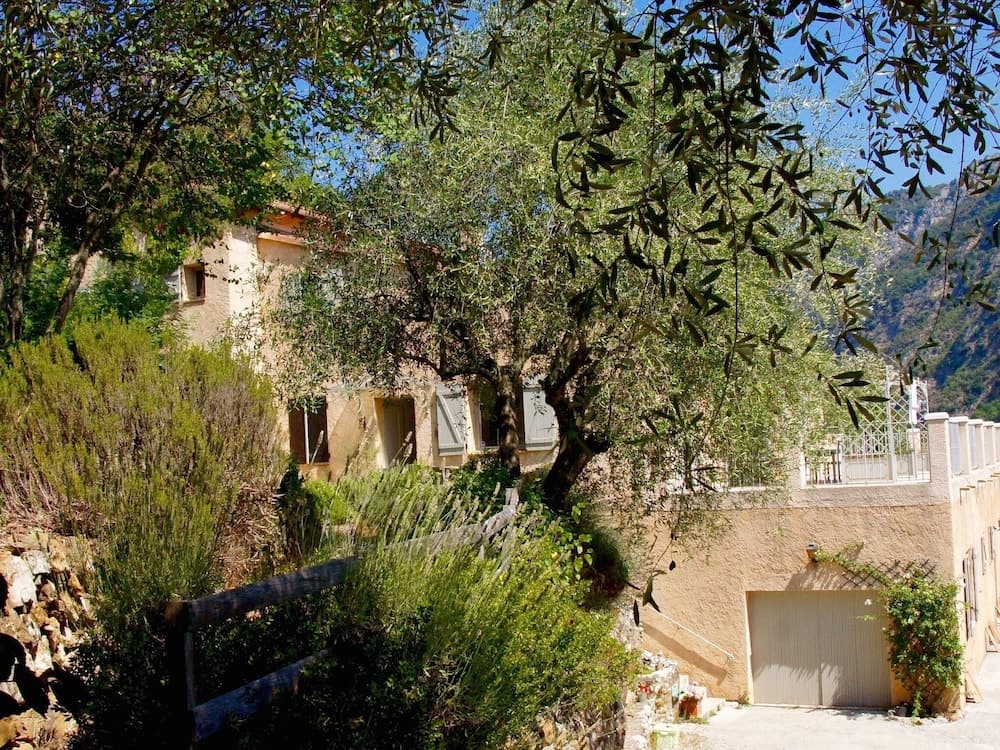 Le Mont D'olivine
