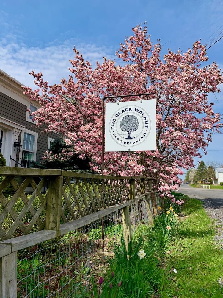 Black Walnut Bed and Breakfast