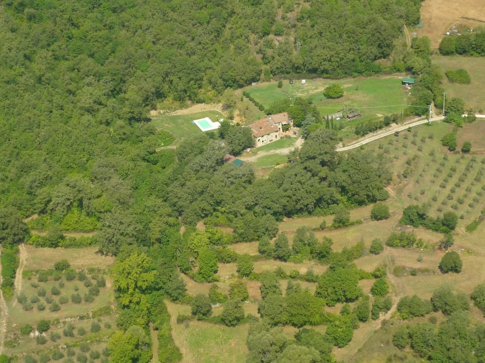 Antico Silbule