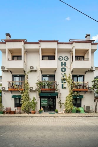 The Green Goose Hotel