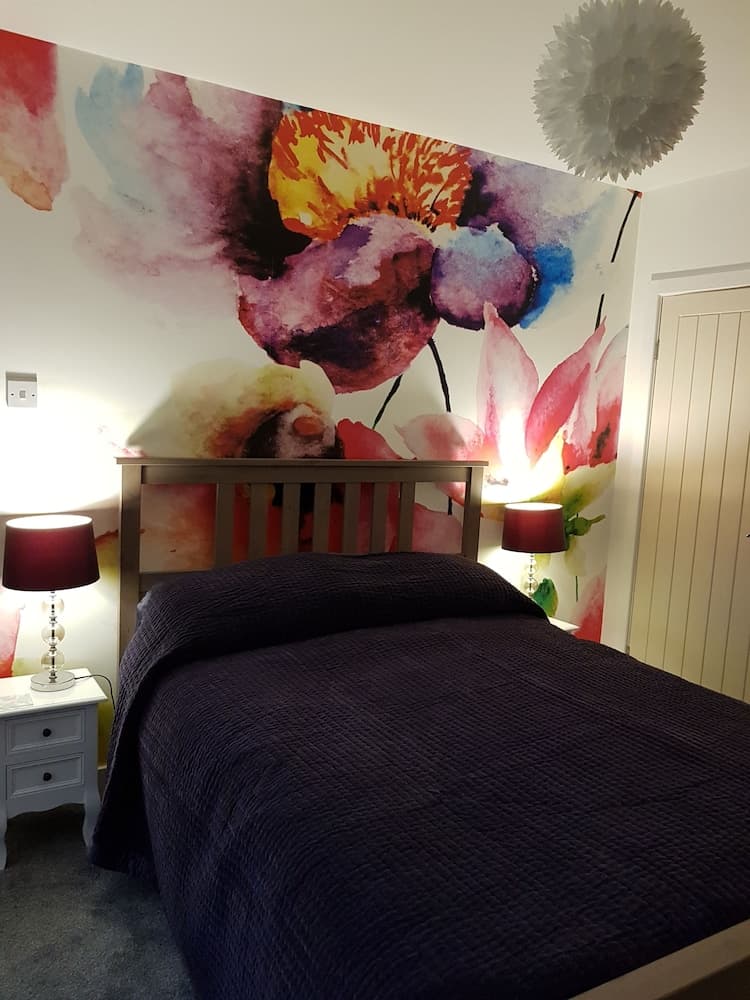 The Snug