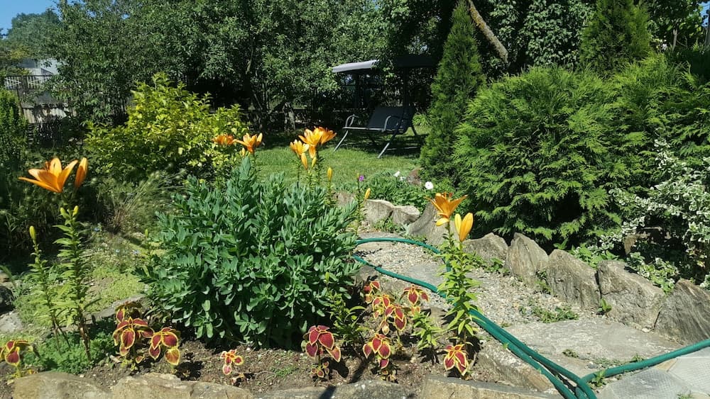 Flowering garden