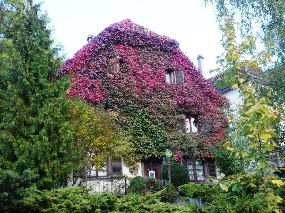 Maison des 5 Temps - Chambres Dhôtes de Charme à Ferrette