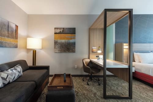 SpringHill Suites by Marriott Chattanooga South/Ringgold, GA