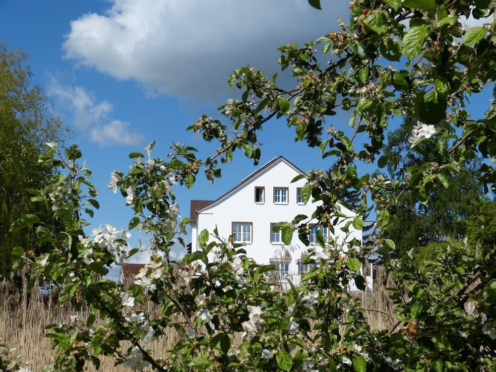 Das Haus am Teich