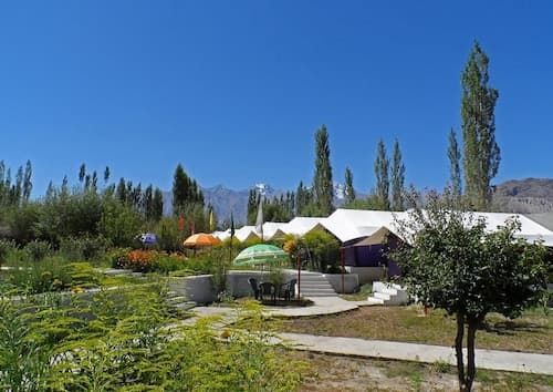 Tiger Camp