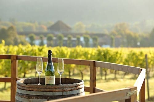 Denbies Vineyard Hotel