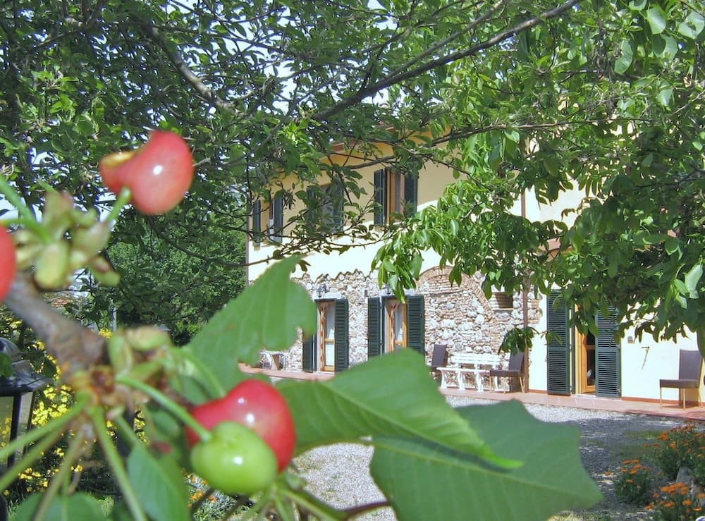 Il Gelso