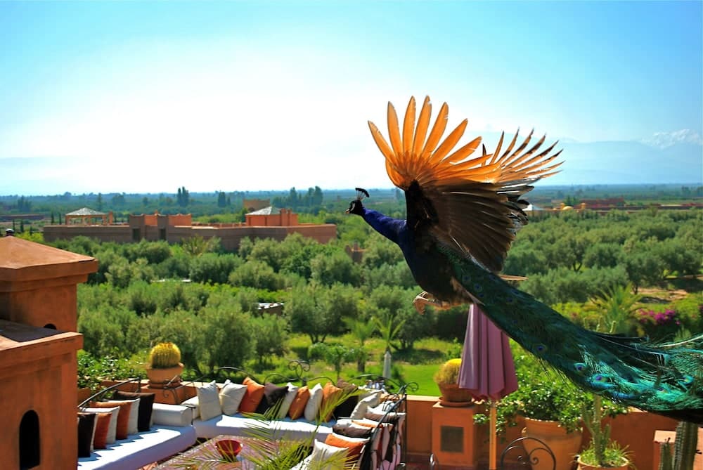 Riad Al Mendili Private Resort & Spa