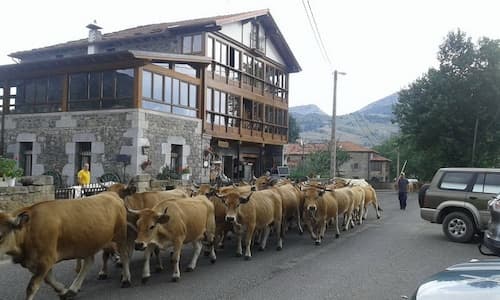 Posada el Mirador