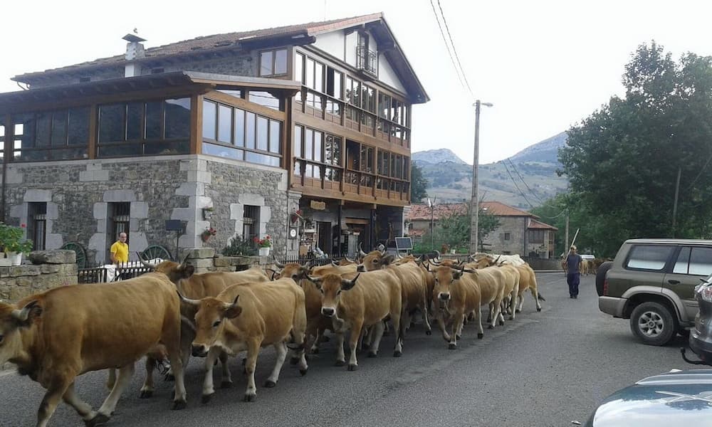 Posada el Mirador