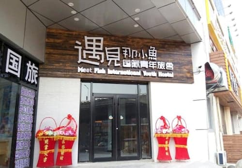 Meet Fish International Youth Hostel