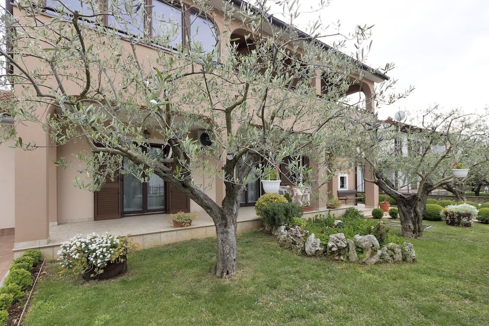 Apartments Monte Grande