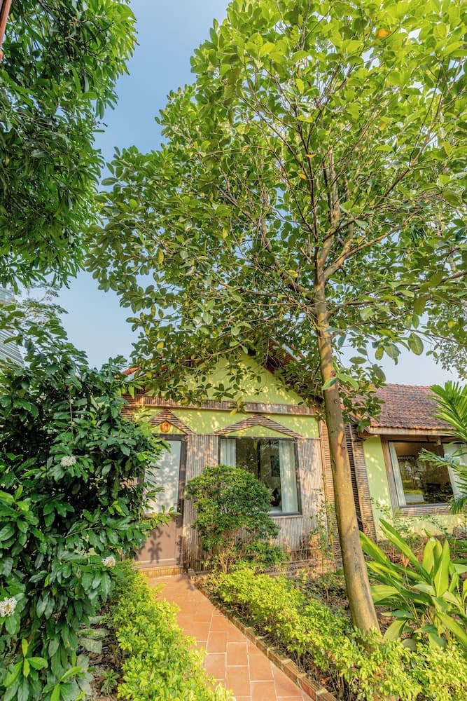 Tam Coc Green Garden Bungalow