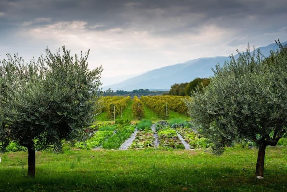 Agriturismo Al Luogo del Giulio