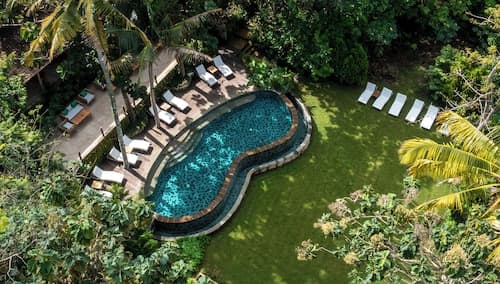 The Mesare Jungle Resort
