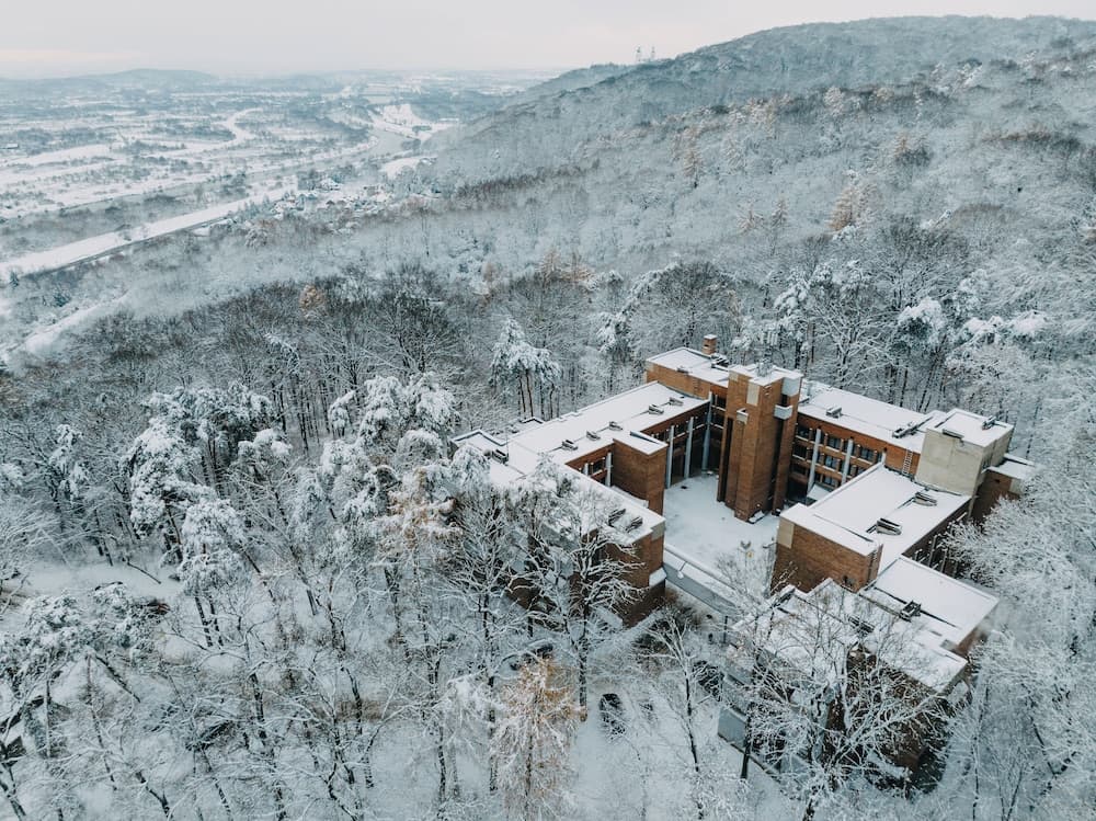 FOREST HOTEL