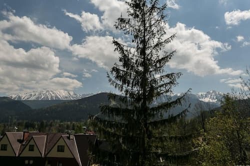 VIP Apartamenty Widokowe