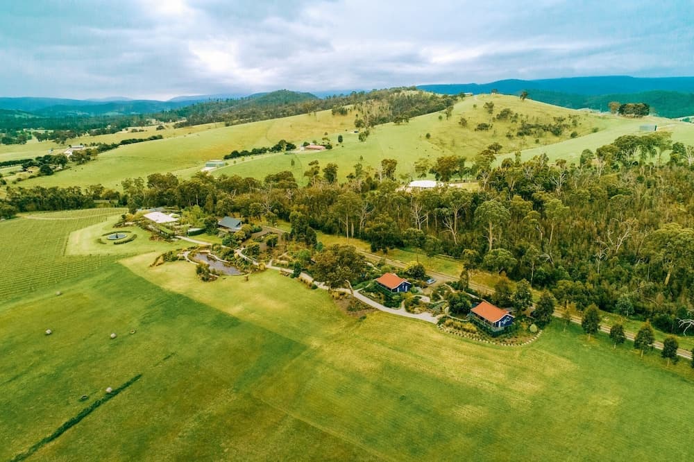 Outlook Hill Vineyard Cottages