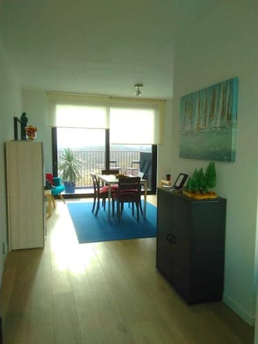 Fully Equipped Sunny Apartment