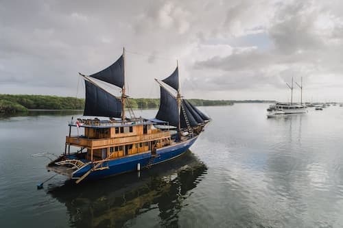 Situju 7 Cruises