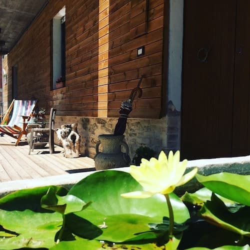 B&B Lotus House