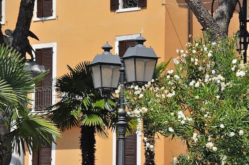 Albergo Meuble' Olivi
